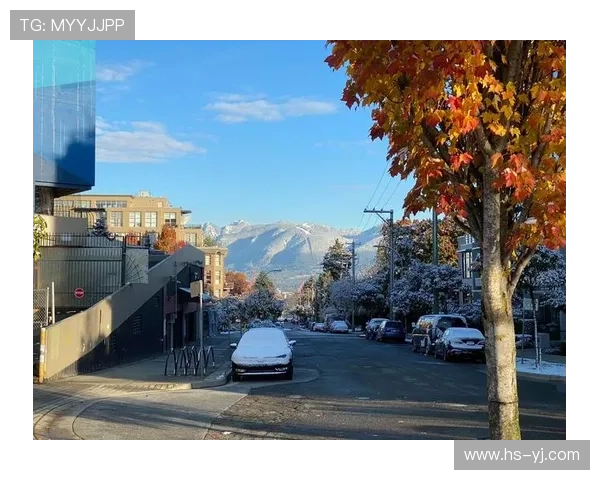 米兰五金雪强冰弱对比温哥华城